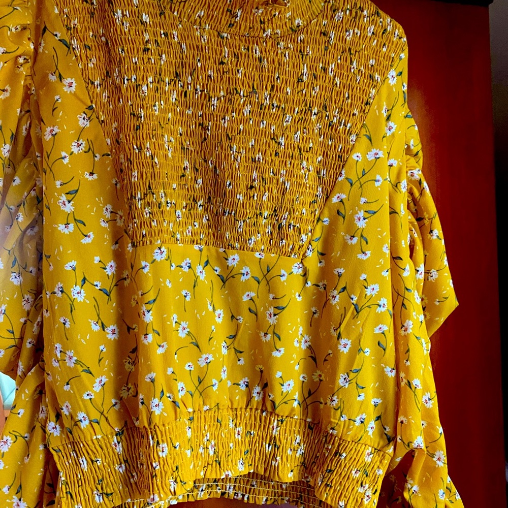Urban Outfitters Gospell smocked long sleeve blouse